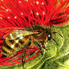 LEHUA HONEY