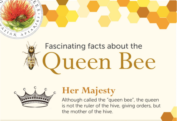 Queen Bee Information - Facts About The Queen Bee