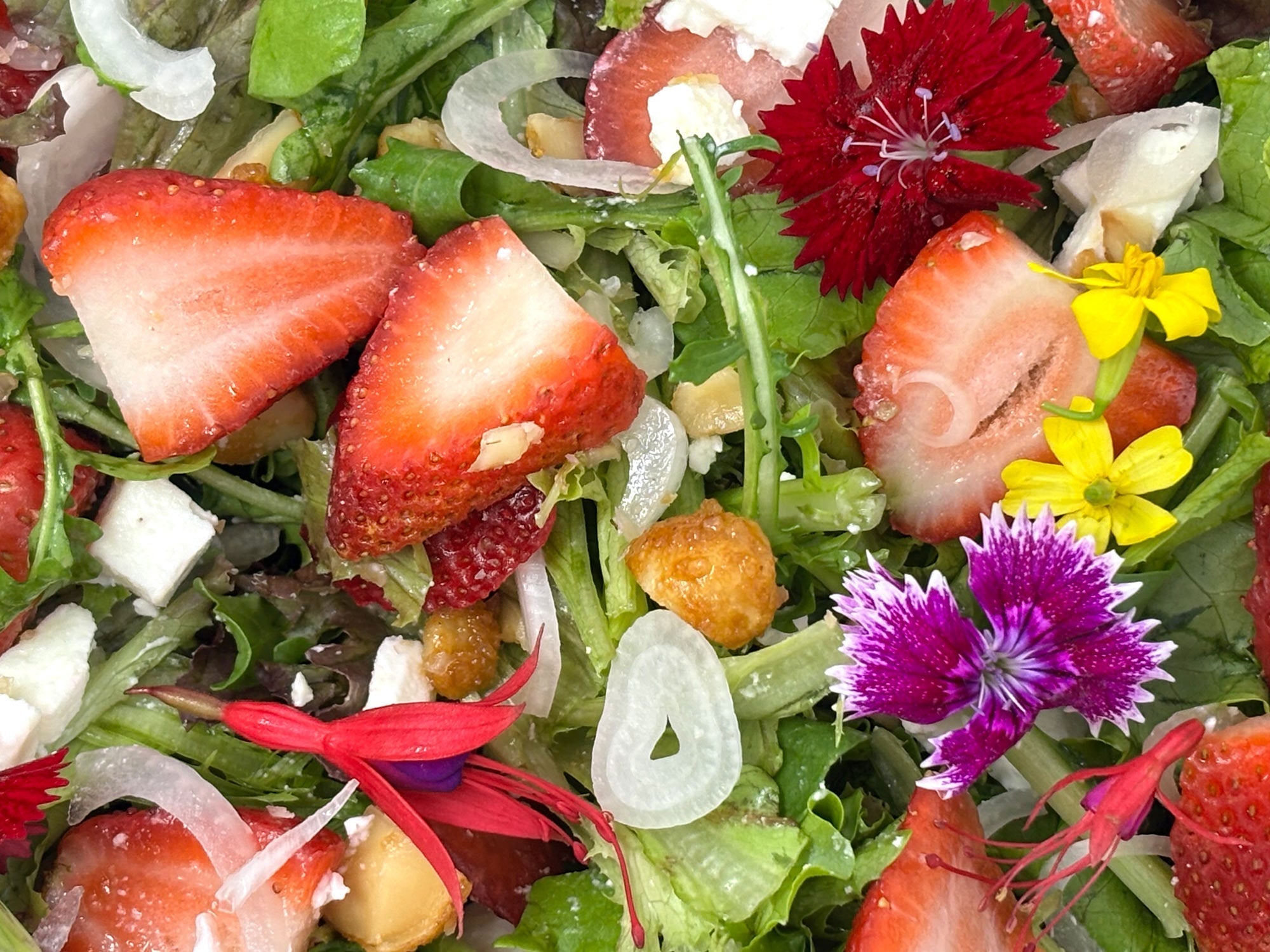 Strawberry and Spring Greens Salad with Honey Mustard Vinaigrette
